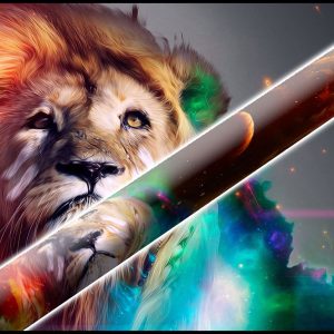 Lion - Pride