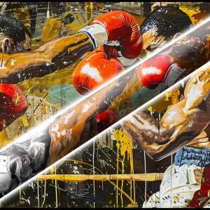 The Boxer