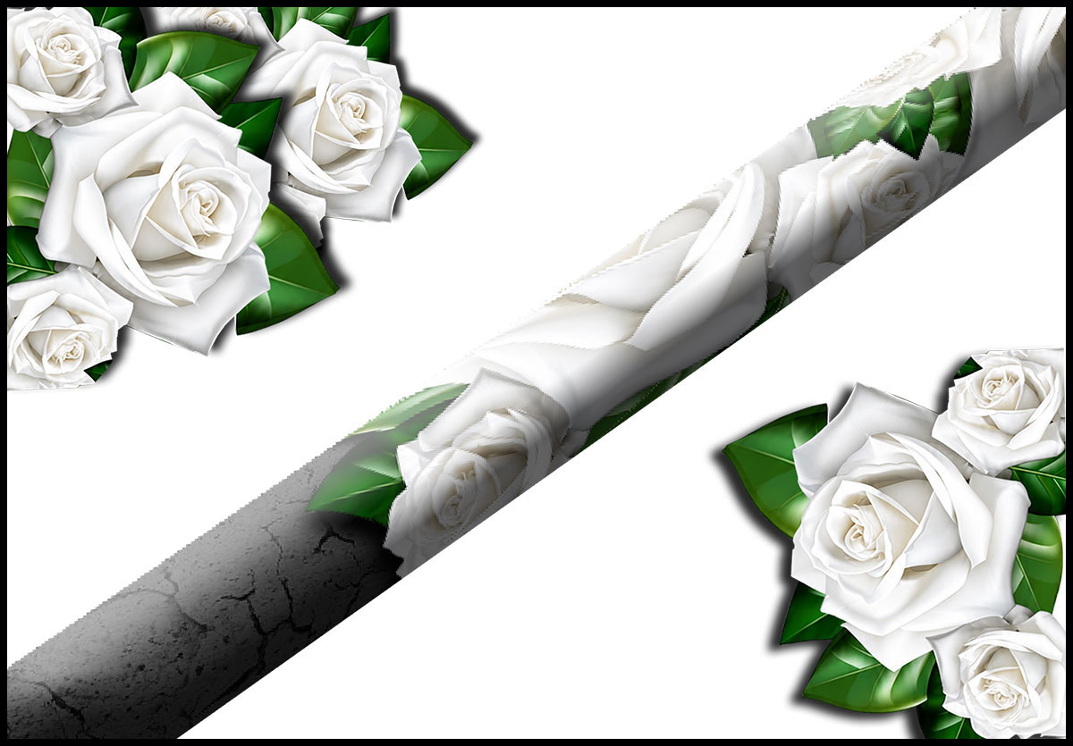 White Rose - Image 1